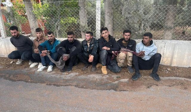 Araçların bagajlarından göçmen çıktı