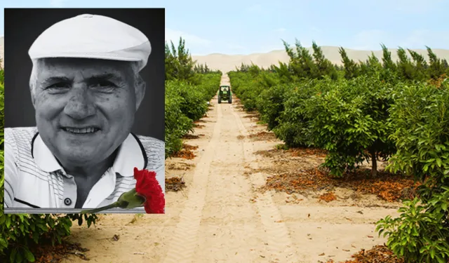 Eski belediye başkanı avokado bahçesinde ölü bulundu
