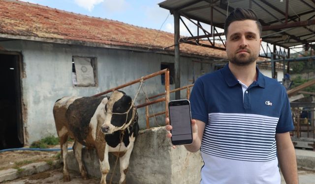 Kurbanlık Danaları Almak İsterken 200 Bin TL Dolandırıldı