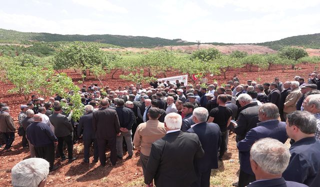 TZOB Başkanı Bayraktar,  Zirai Dondan Etkilenen Bahçeleri İnceledi