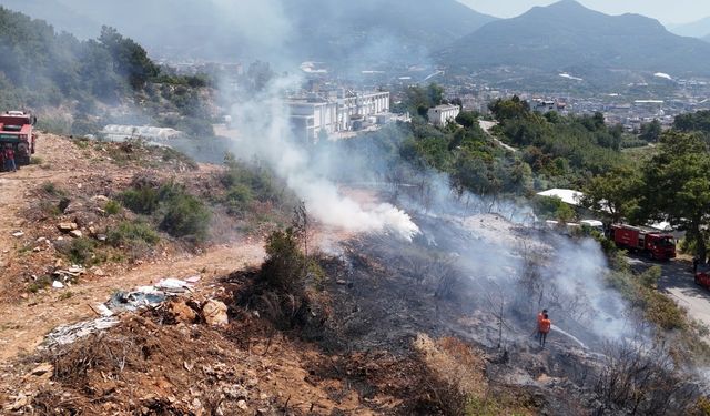 Yangın Ormana Sıçramadan Söndürüldü