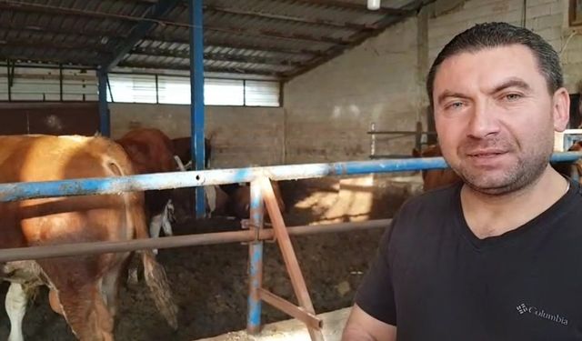 7 Hisseli Kurbandan Umre Ziyareti Çıktı Çifte Bayram Yaşadı