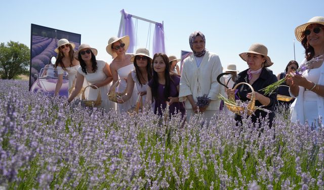 Lavanta Tarlalarında Mor Bir Şölen: Festival Hasatla Başladı, Koku Atölyeleri Mest Etti