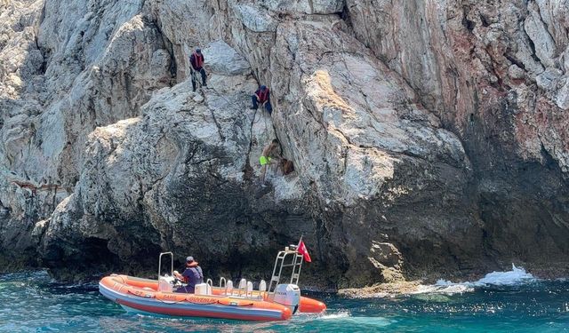 Kayalık Bölgede Mahsur Kalan Dağ Keçisi Kurtarıldı