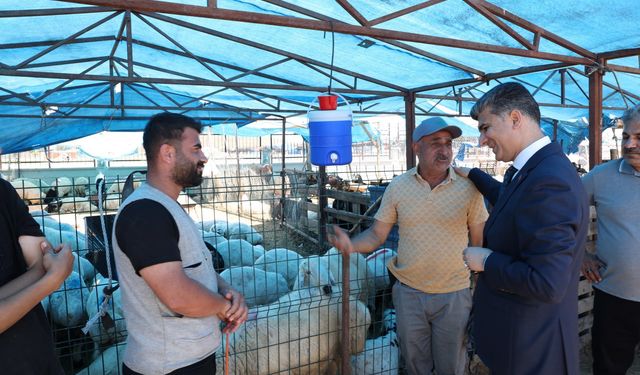 Kurban Satış Yerleri Hazır