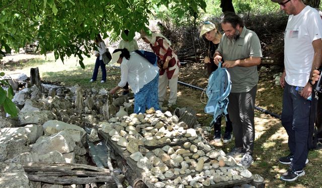 Öğrenciler’den Fosil Araştırması