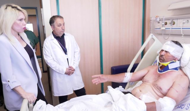 Aslan Saldırısından Kurtulan Çiftçi Konuştu: “Aslana Hakkımı Helal Ettim”