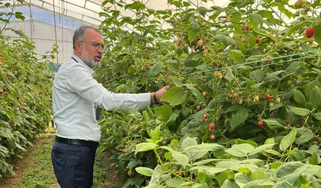 Bursa Kestel ve Gürsu’dan Sırbistan’a tarım çıkarması