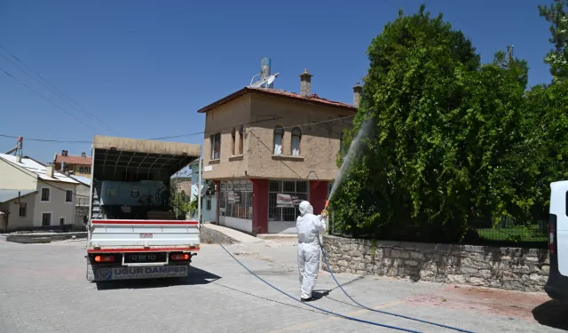 Yeşil alan ilaçlamaları sürüyor