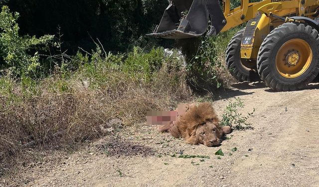 Memur Sen Antalya İl Temsilcisi Miran: "Refah Payı İstiyoruz"