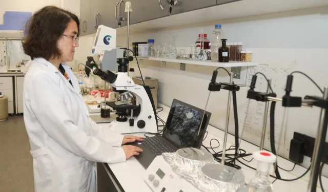 Akademisyenlerden Isı Kalkanı Görevli Biyomalzeme Projesi