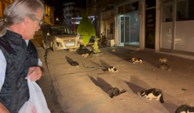 Mahallesinde Sokak Kedilerini Yıllardır Besleyen Veysel Kaya