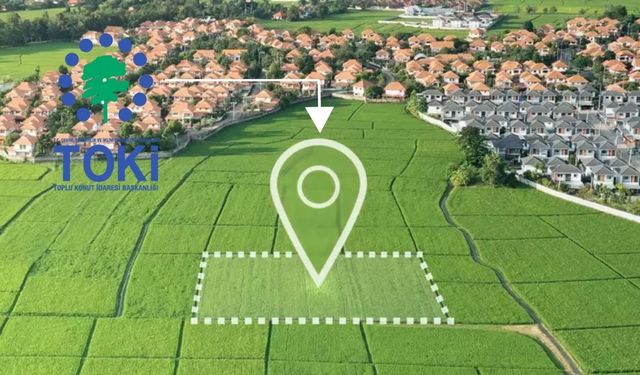 Başvuran Kahramanmaraş'ta ucuza bağ sahibi olacak: Mahkeme bu fiyatı istiyor