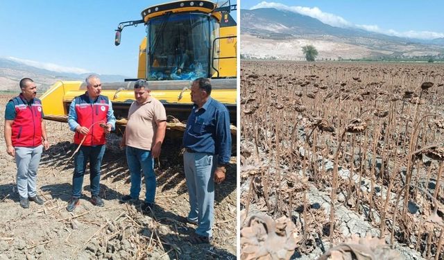 Tarım Müdürü Türkmen Çiftçilerle Buluştu