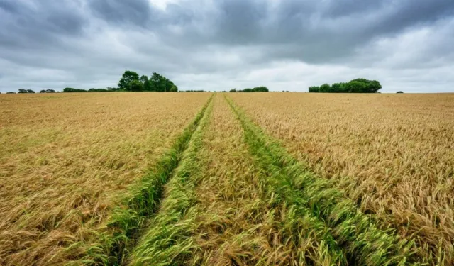 Kahramanmaraş'ın güzel yerinde 13 dönüm tarla! Fiyatını devlet kurumu belirledi