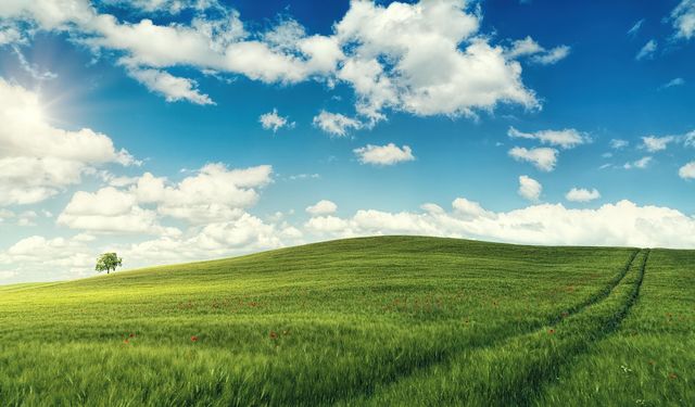 Pazarcık'ta ucuza arsa: 4 dönüm alan mahkemeye düştüğü için bu fiyata verilecek