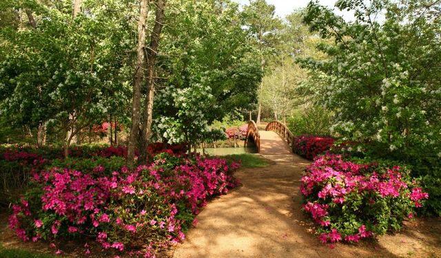 Kahramanmaraş Dulkadiroğlu'da 3.160 m² bahçe icradan bu rakama satılacak