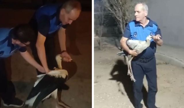 Bitkin Halde Bulunan Leylek Tedavi Altına Alındı
