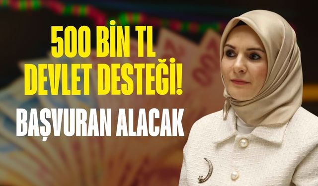 500 bin TL devlet desteği! TC kimlik numarasıyla başvuru yeterli