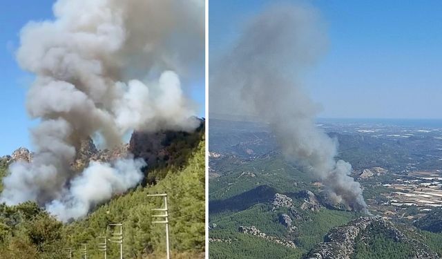 Ormanlık Alanda Çıkan Yangına Müdahale Sürüyor