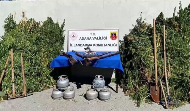 Ormanlık Alanda Uyuşturucu Operasyonu: 2 Gözaltı