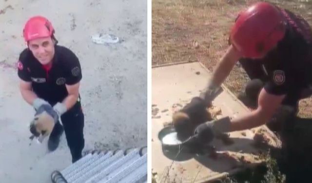 Sulama Kanalına Düşen Yavru Köpek Kurtarıldı