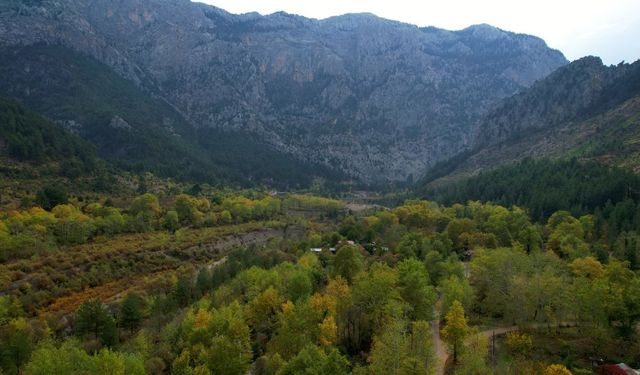 Tabiat Parkında Sonbahar Renk Cümbüşü Başladı