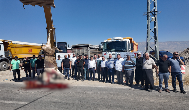 Yıllardır Beklenen Yol Çalışması Başladı, Vatandaşlar Kurban Kesti