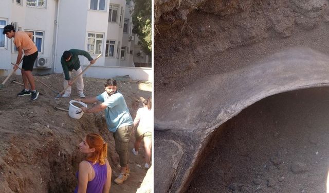 Dev Fin Balinası Bilimsel Kazıyla Gün Yüzüne Çıkıyor