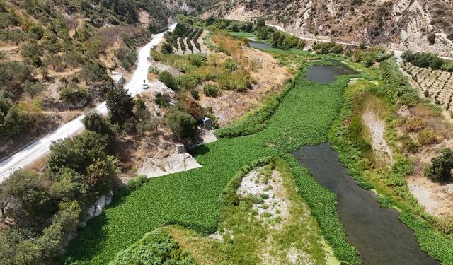 Doğa Harikası mı, Ekolojik Tehdit mi?