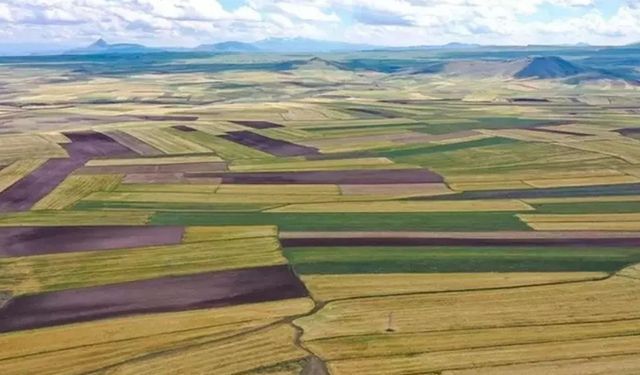 Göksun'da Hazine Arazileri İçin İhale Tarihi Belli Oldu