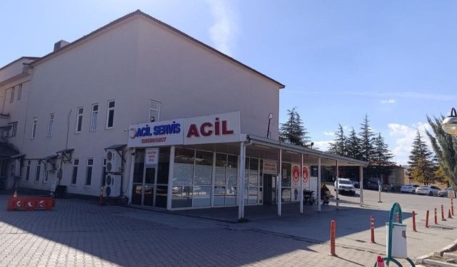 Kahramanmaraş’ta Arı Sokan 9 Yaşındaki Çocuk Hayatını Kaybetti