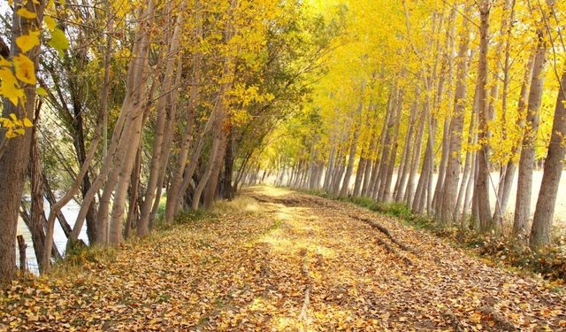 Kahramanmaraş’ta Göksun Sonbahar Renklerine Büründü