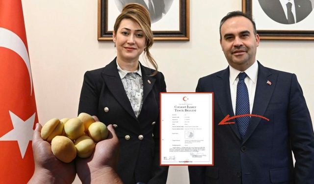 Vekil Karakoç; “Elbistan Kayısısının Hakkını Sonuna Kadar Savunacağız”