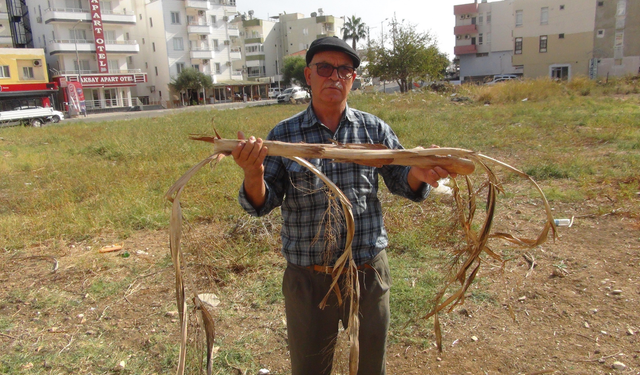 Ali Dayıcık Hissettiği Elektrikle Yer Altı Suyu Buluyor