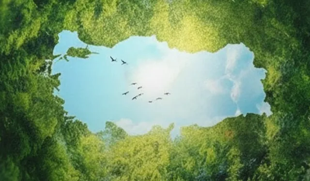 Burhanettin Duran'dan Çanakkale'de hatıra ormanı paylaşımı