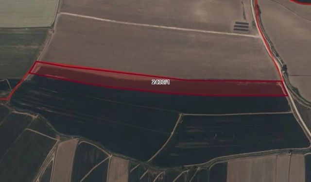 Elbistan'da 43.280 m² Tarım Arazisi İcradan Satışta