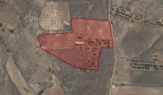 Kahramanmaraş'ta 1 Milyonluk Tarım Arazisi Satışta!