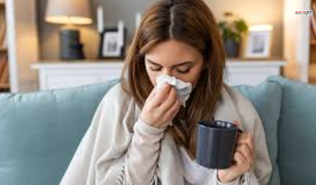 Yeni Grip Virüsü Kuzey Yarımkürede Hızla Yayılıyor