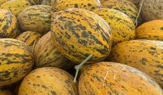 Kavunun bozulmasına son: Bu yöntemle haftalarca taze kalıyor