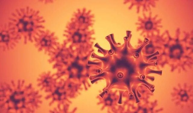 Yeni Salgının Adı H3N2: İşte Bilinmesi Gerekenler