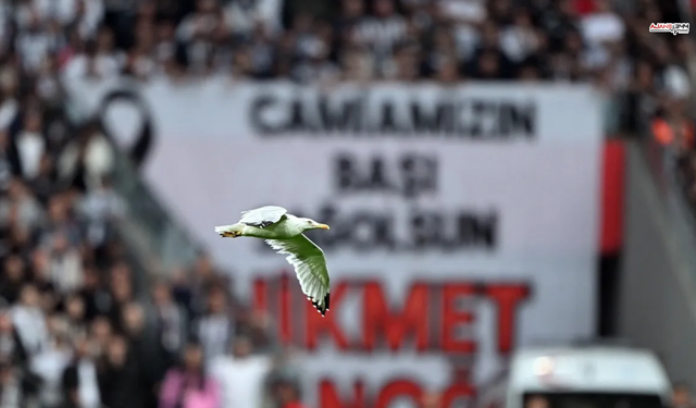 Beşiktaş Maçında Davetsiz Misafir