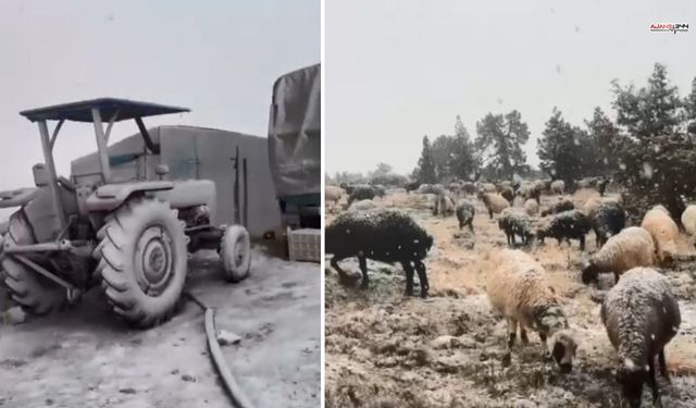 Torosların Eteklerinde Kar Yağışı Etkili Oldu