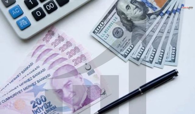 Asgari Ücret 2026 Dolar Bazında Ne Kadar Arttı?
