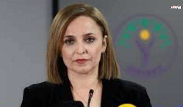 DEM Partili Doğan: Barzani Ziyaretinde Yok Sayıldık