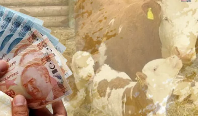 1,46 milyar TL tarımsal destek üreticilerin hesaplarına yatırıldı