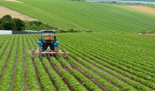 Çiftçilere verilen destek ödemeleri açıklandı! Başvuranlar alıyor