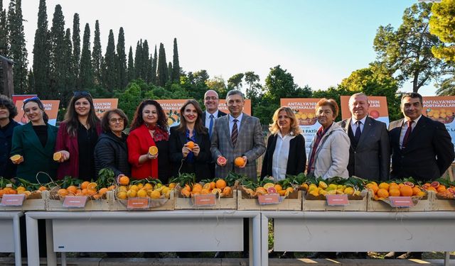 Gazipaşa’da Kamyon Devrildi: 1 Yaralı