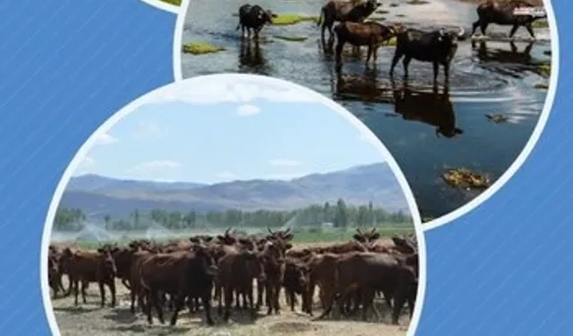 Halk elinde ıslaha 2,7 milyar TL destek verildi