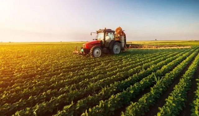 Köyde bir dönüm toprağı olanlar dikkat: Tapu şartı kalktı, o belgeyi veren parayı alacak